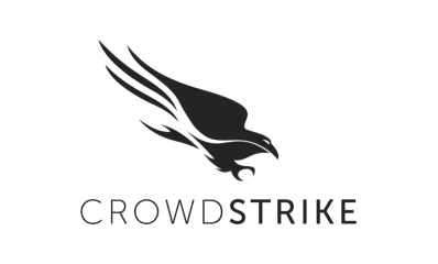 Crowd Strike