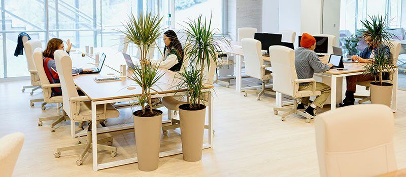 Digital Transformation Enhances Customer Satisfaction