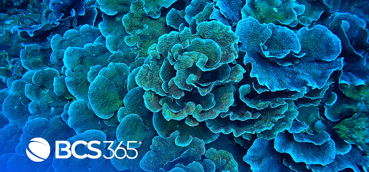 Life Science View Under Microscope