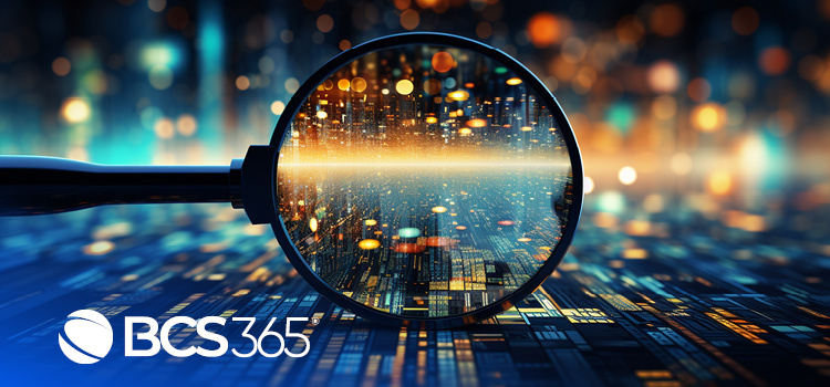 Cyber Risk Magnifying Glass