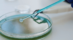 BioPharma-1 BioPharma-1