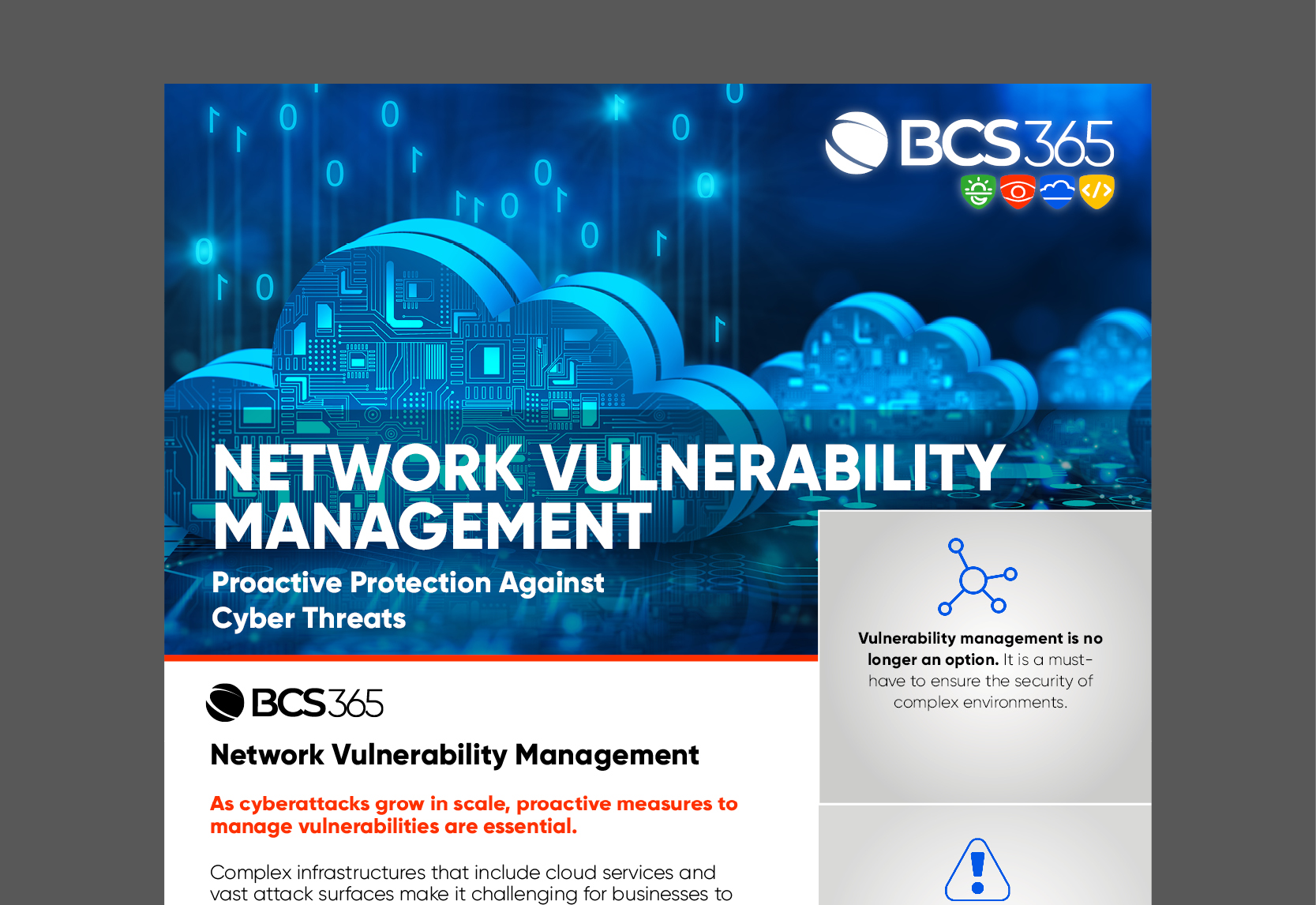 Network Vulnerability Management