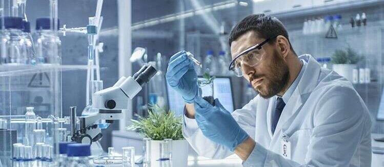 laboratory technician testing something in a plant